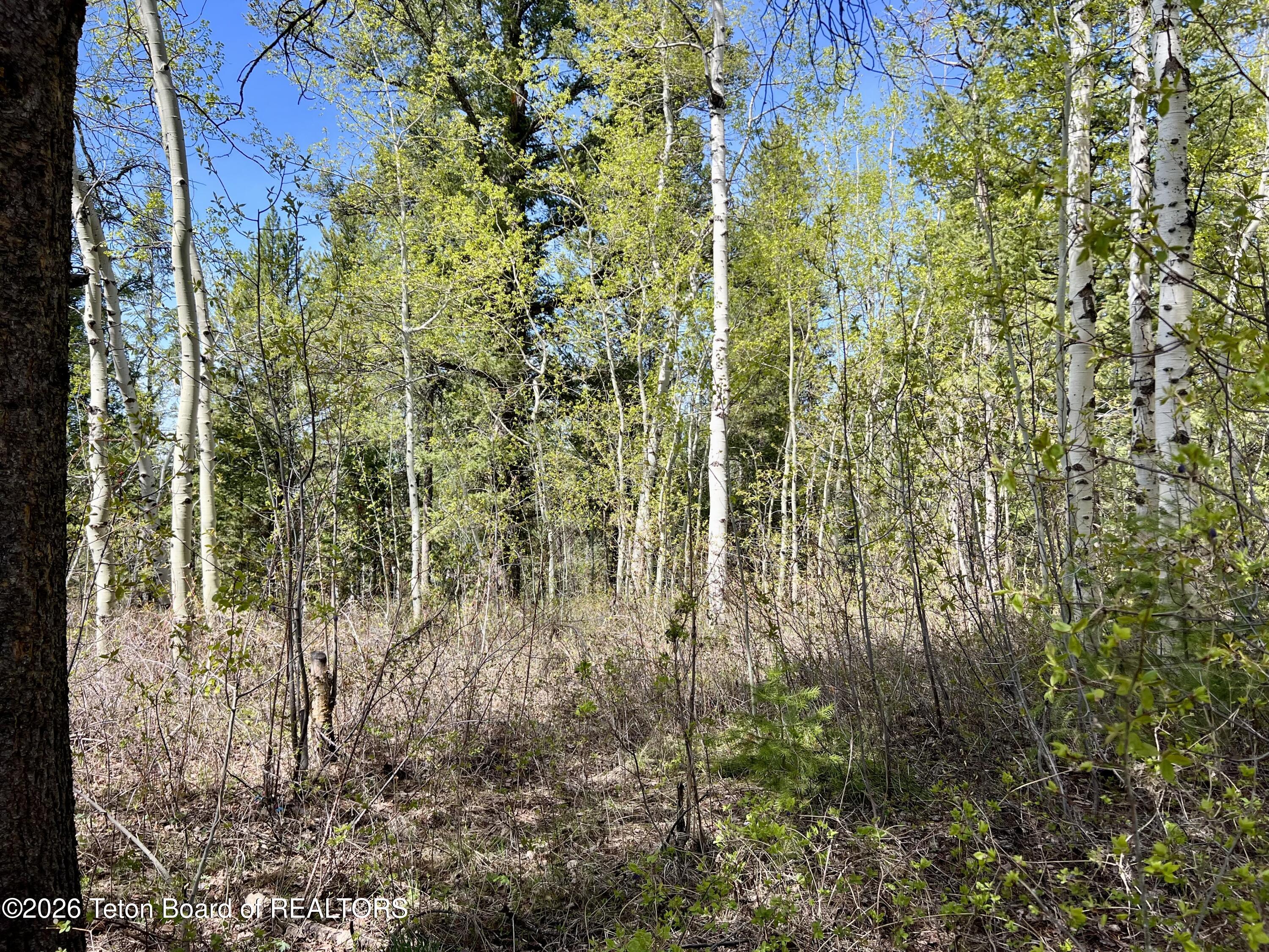 280 Wolverine Way Tetonia, ID 83452 - Photo 3 of 4 IMG_1789 (1)