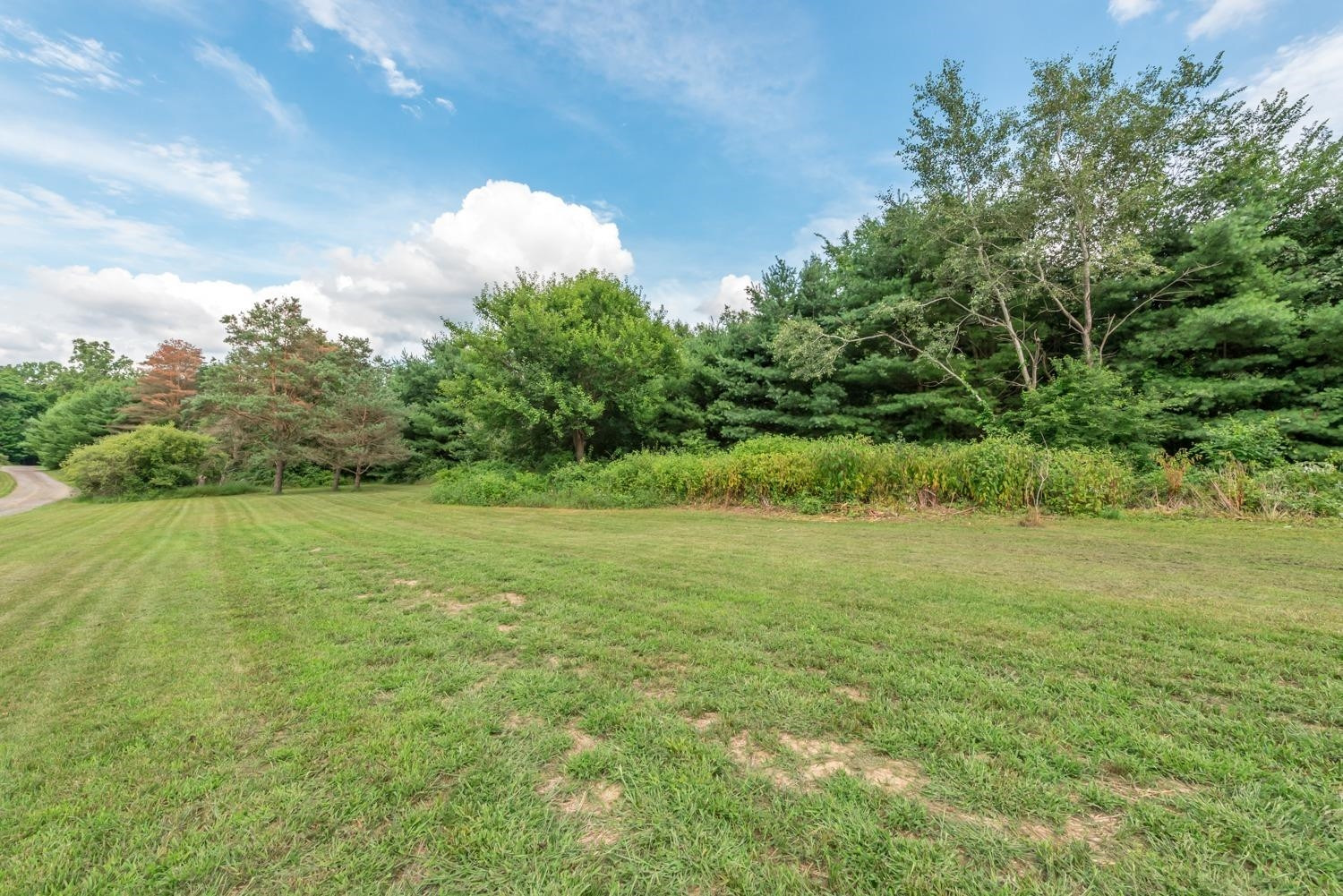 13535 Island Lake Road Chelsea, MI 48118 - Photo 17 of 58 Photo 17