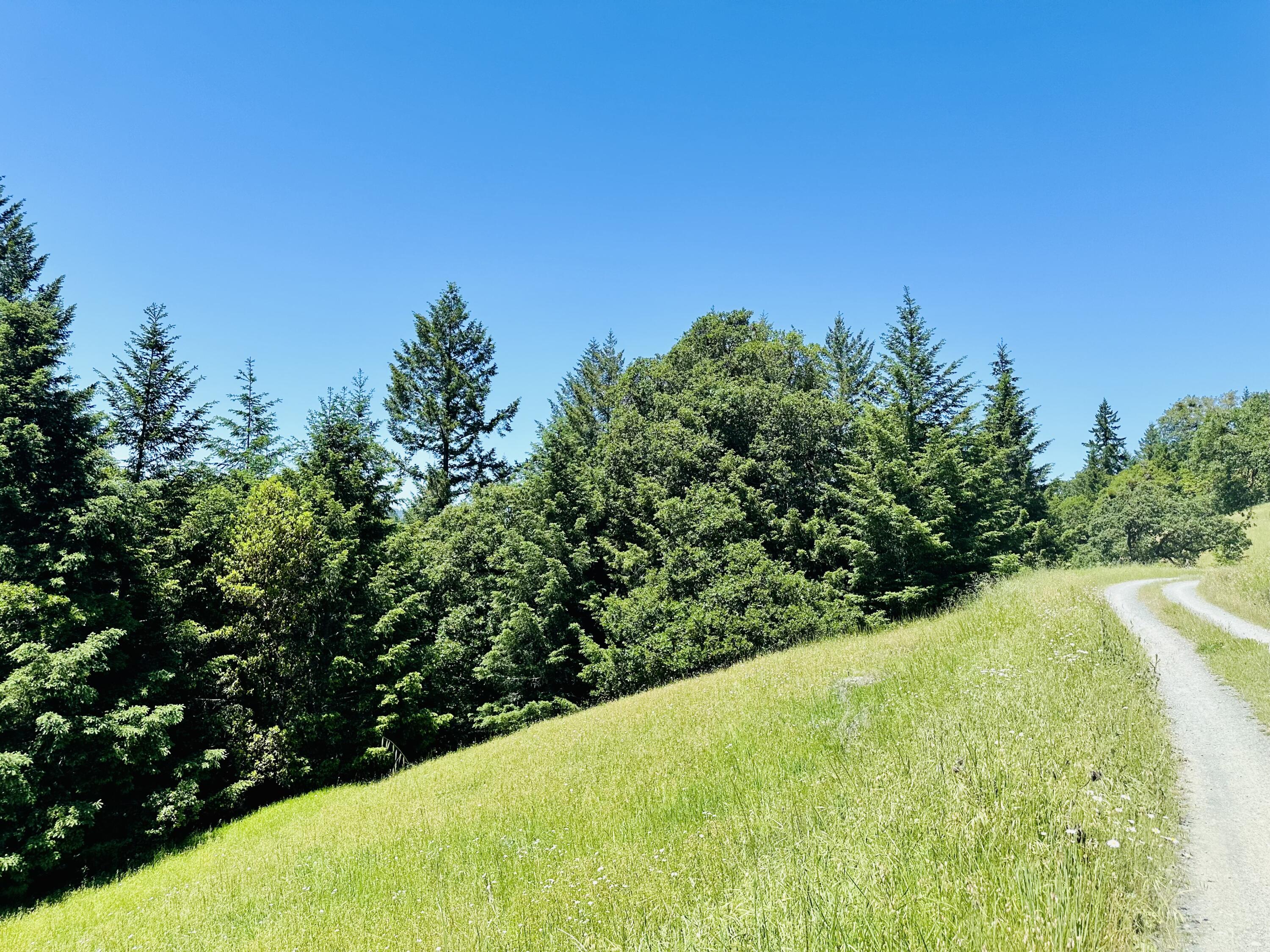 400 Seely Creek Road Redway, CA 95560 - Photo 60 of 73