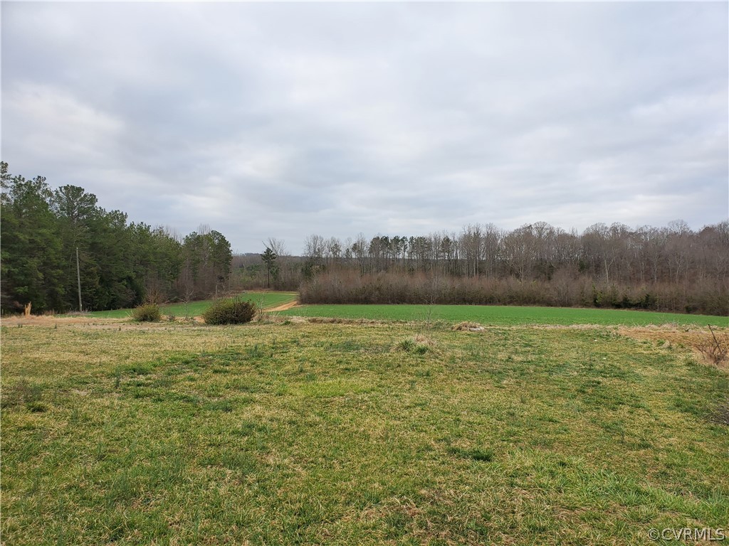 1600 Namozine Road Church Road, VA 23833 - Photo 20 of 45 a view of a field with trees in the background