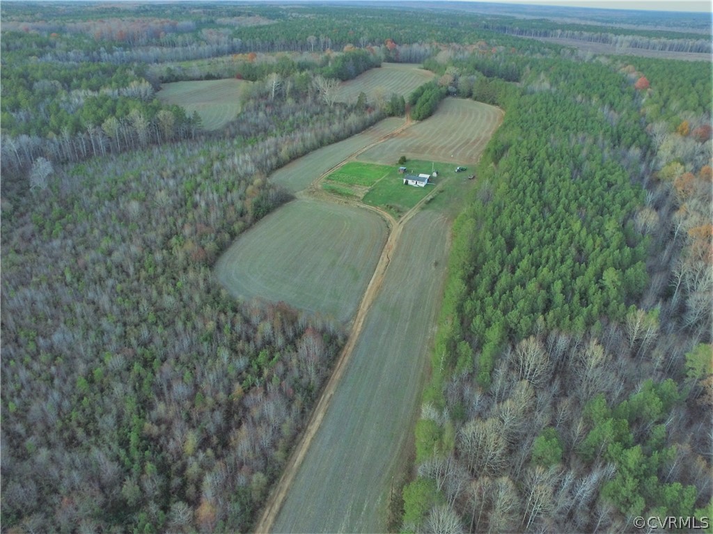 1600 Namozine Road Church Road, VA 23833 - Photo 2 of 45 a view of a lush green forest with a house
