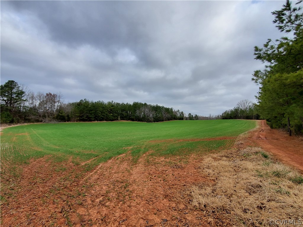 1600 Namozine Road Church Road, VA 23833 - Photo 25 of 45 a view of field with tall trees