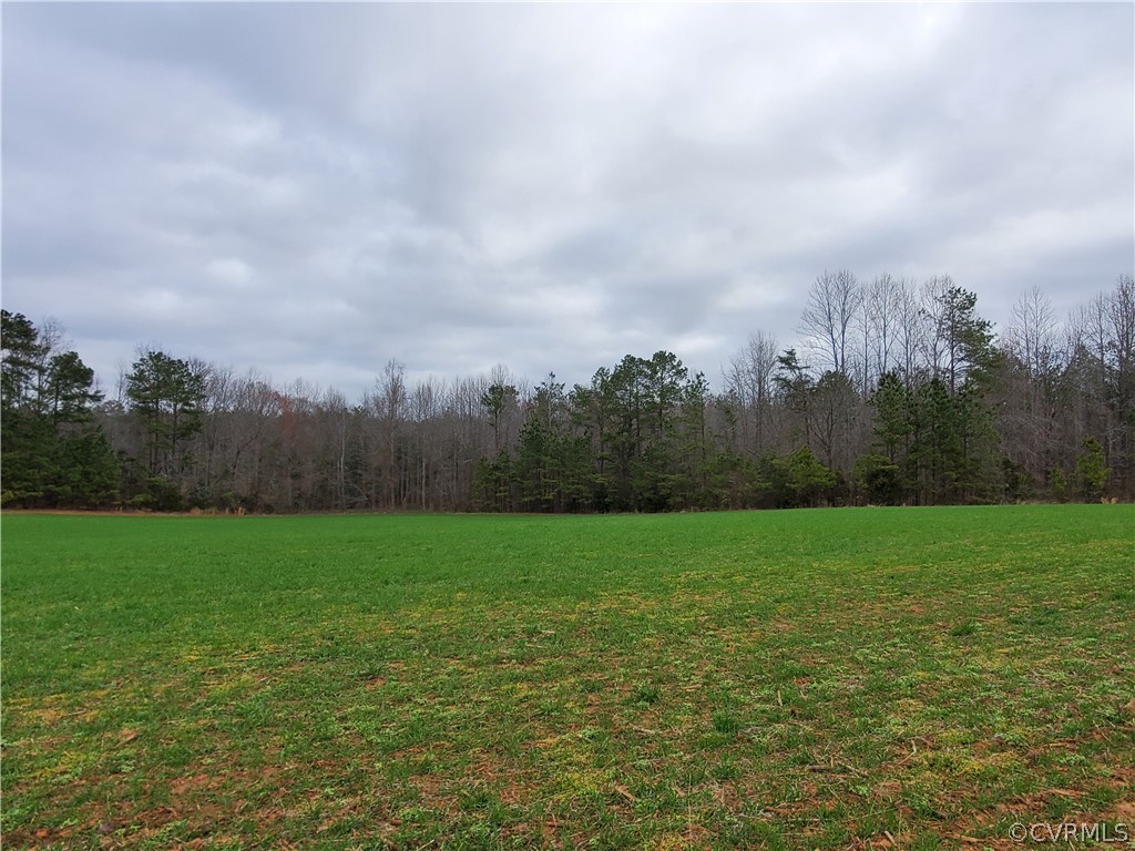 1600 Namozine Road Church Road, VA 23833 - Photo 26 of 45 a view of grassy field with trees in the background