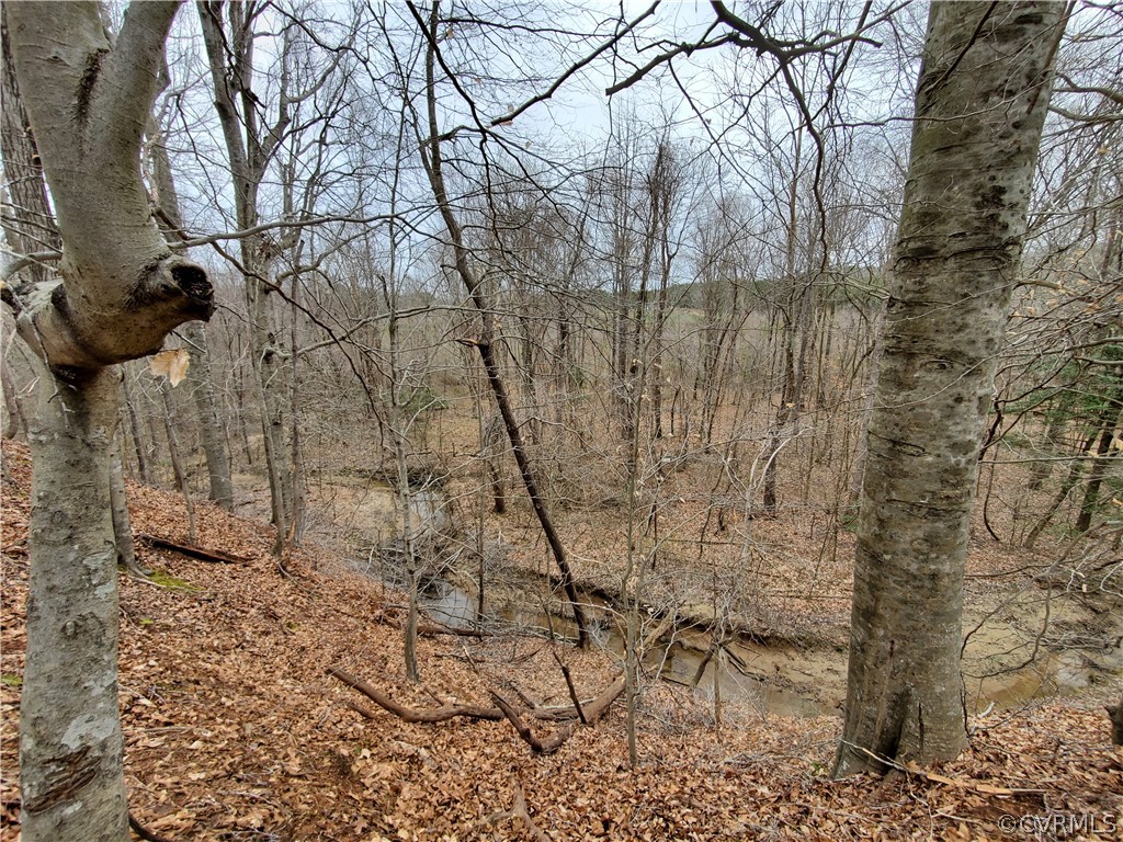 1600 Namozine Road Church Road, VA 23833 - Photo 27 of 45 a view of a yard with a tree