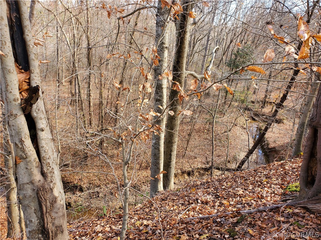 1600 Namozine Road Church Road, VA 23833 - Photo 28 of 45