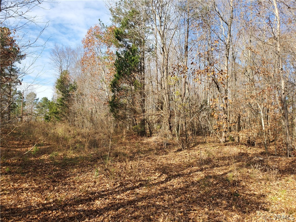 1600 Namozine Road Church Road, VA 23833 - Photo 30 of 45