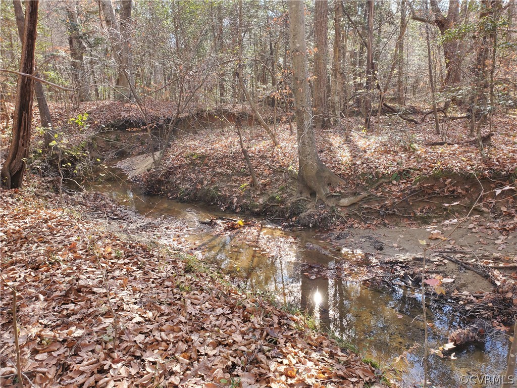 1600 Namozine Road Church Road, VA 23833 - Photo 31 of 45 a view of a yard with a tree