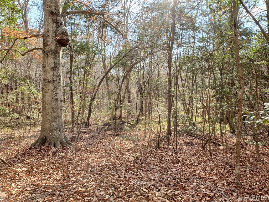 1600 Namozine Road Church Road, VA 23833 - Photo 32 of 45 a view of yard