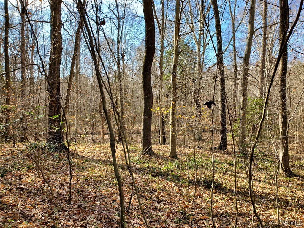 1600 Namozine Road Church Road, VA 23833 - Photo 33 of 45 a view of yard