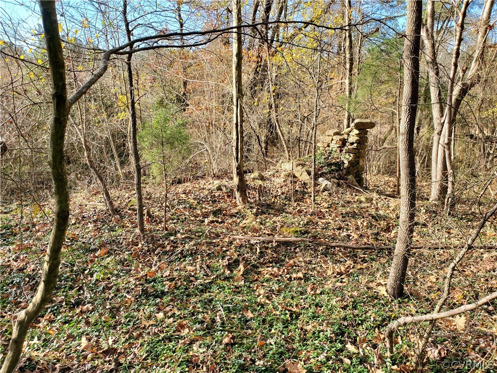 1600 Namozine Road Church Road, VA 23833 - Photo 35 of 45 a view of a yard of the building