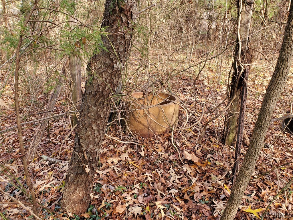 1600 Namozine Road Church Road, VA 23833 - Photo 36 of 45 a view of a yard