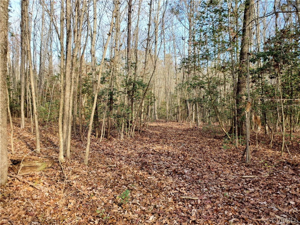1600 Namozine Road Church Road, VA 23833 - Photo 37 of 45 a view of outdoor space with wooden chairs