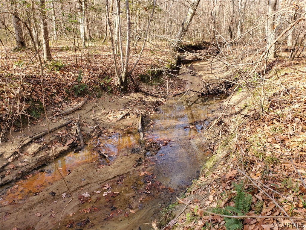 1600 Namozine Road Church Road, VA 23833 - Photo 38 of 45 a view of a yard with a tree