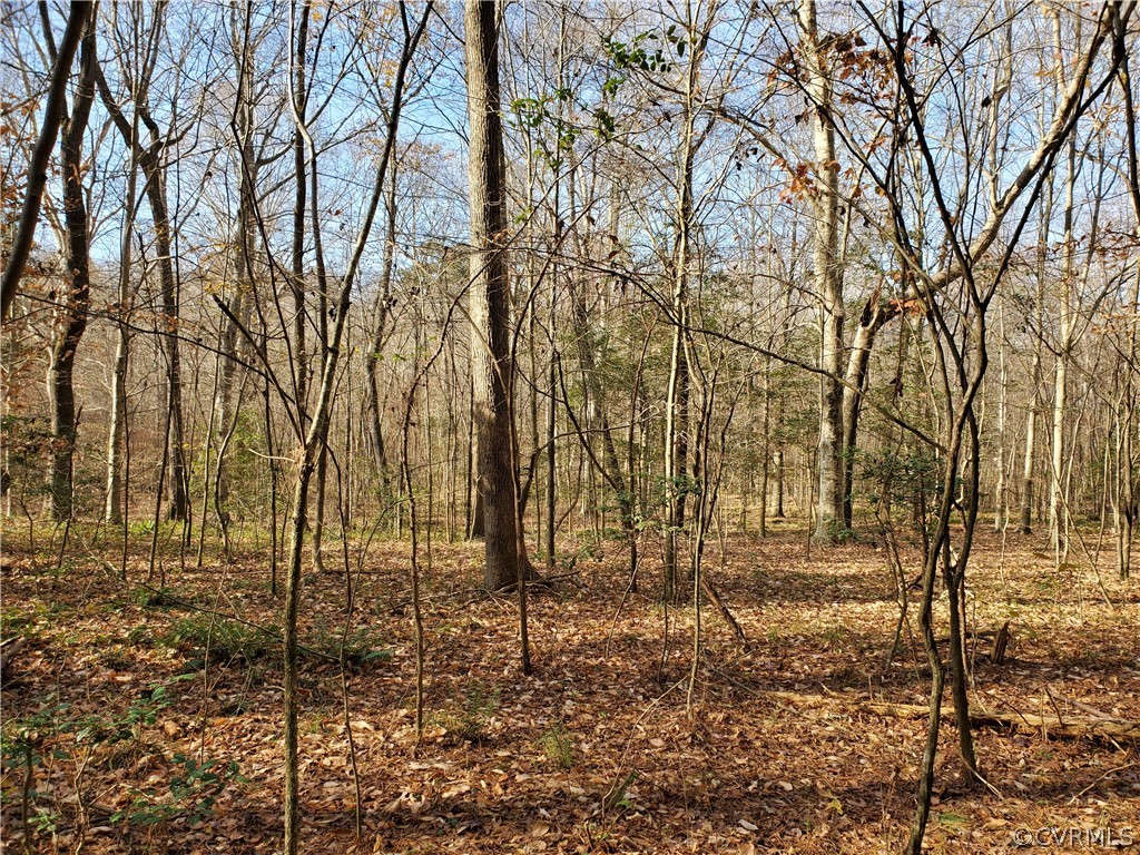 1600 Namozine Road Church Road, VA 23833 - Photo 40 of 45 a backyard of a house with lots of green space