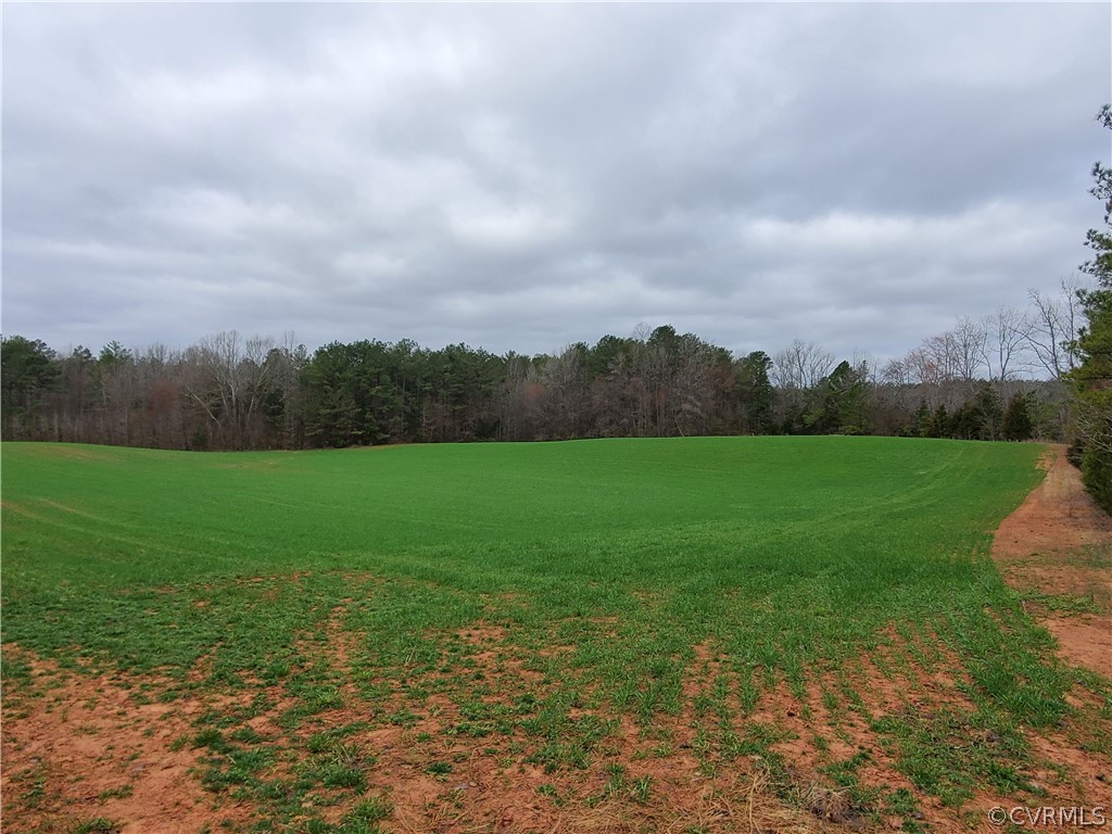 1600 Namozine Road Church Road, VA 23833 - Photo 4 of 45 a view of a garden and mountains