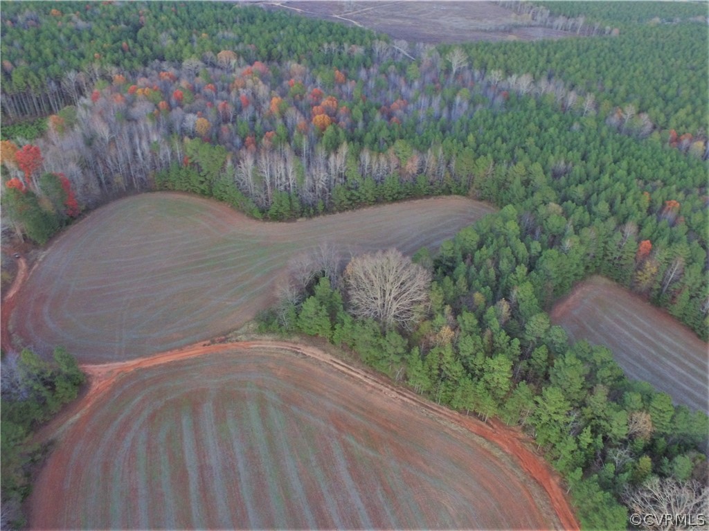1600 Namozine Road Church Road, VA 23833 - Photo 41 of 45 a view of outdoor space and yard