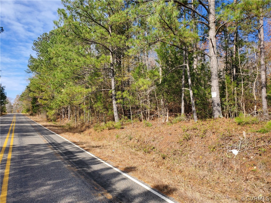 1600 Namozine Road Church Road, VA 23833 - Photo 45 of 45 a view of a yard with large trees