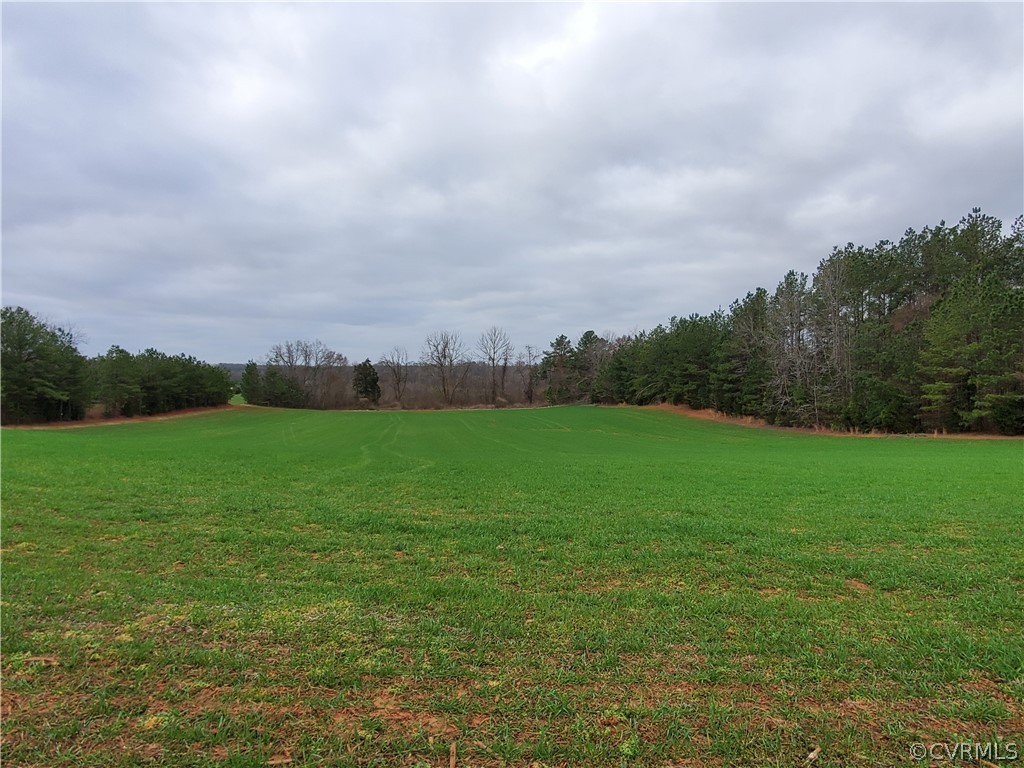 1600 Namozine Road Church Road, VA 23833 - Photo 5 of 45 a view of field with river in back