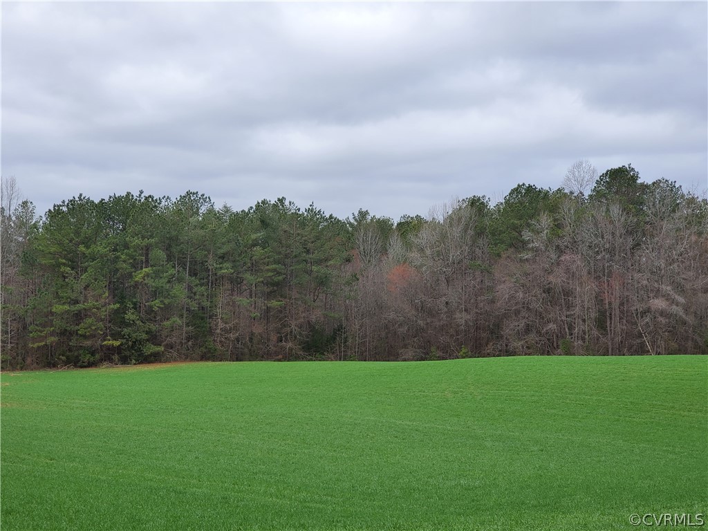 1600 Namozine Road Church Road, VA 23833 - Photo 6 of 45 a view of yard with green space