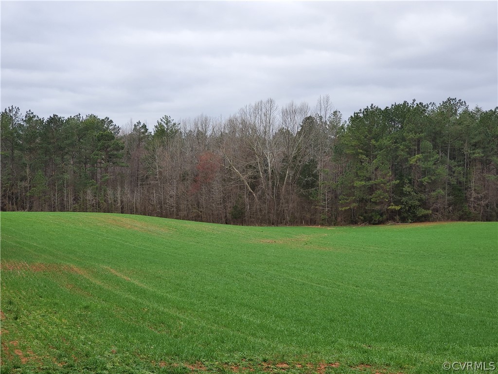 1600 Namozine Road Church Road, VA 23833 - Photo 7 of 45 a view of a yard and a yard