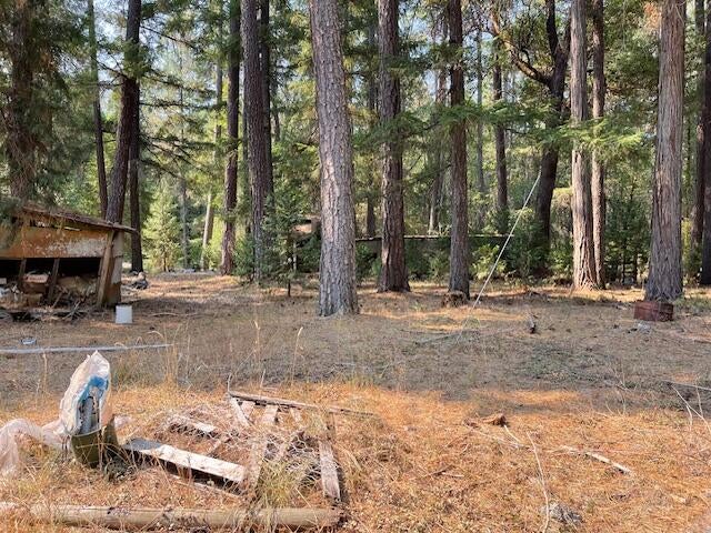 6392 Pleasant Creek Road Rogue River, OR 97537 - Photo 17 of 19 IMG_6865