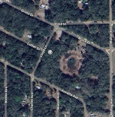 a view of a dry yard