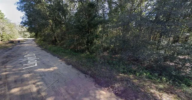 a view of a yard with plants and trees