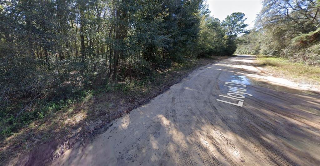 Lloyd Drive Interlachen, FL 32148 - Photo 5 of 5 a view of a yard with plants and trees