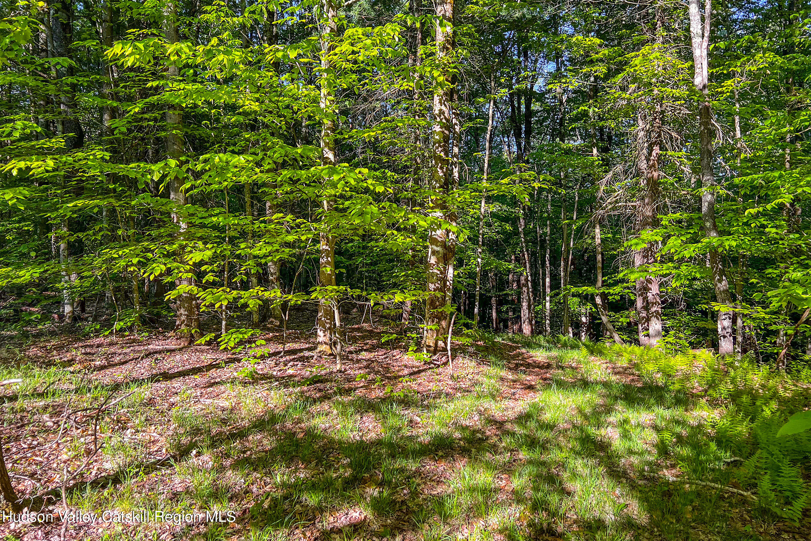 0 Frank Slawson Road Oneonta, NY 13820 - Photo 28 of 29 IMG_3446-Edit