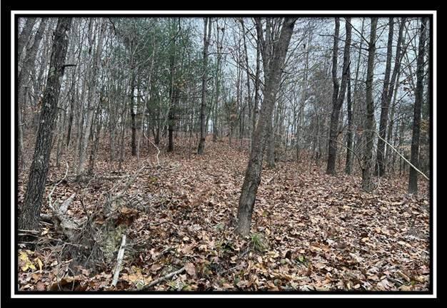 35887 Buck Run Road, Unit TRACT 7 Langsville, OH 45741 - Photo 32 of 37 image032