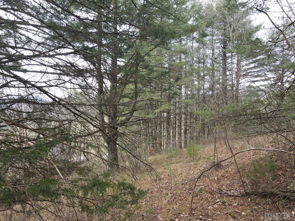 Tbd Pine Creek Road Cullowhee, NC 28723 - Photo 24 of 51 Gallery Image 24