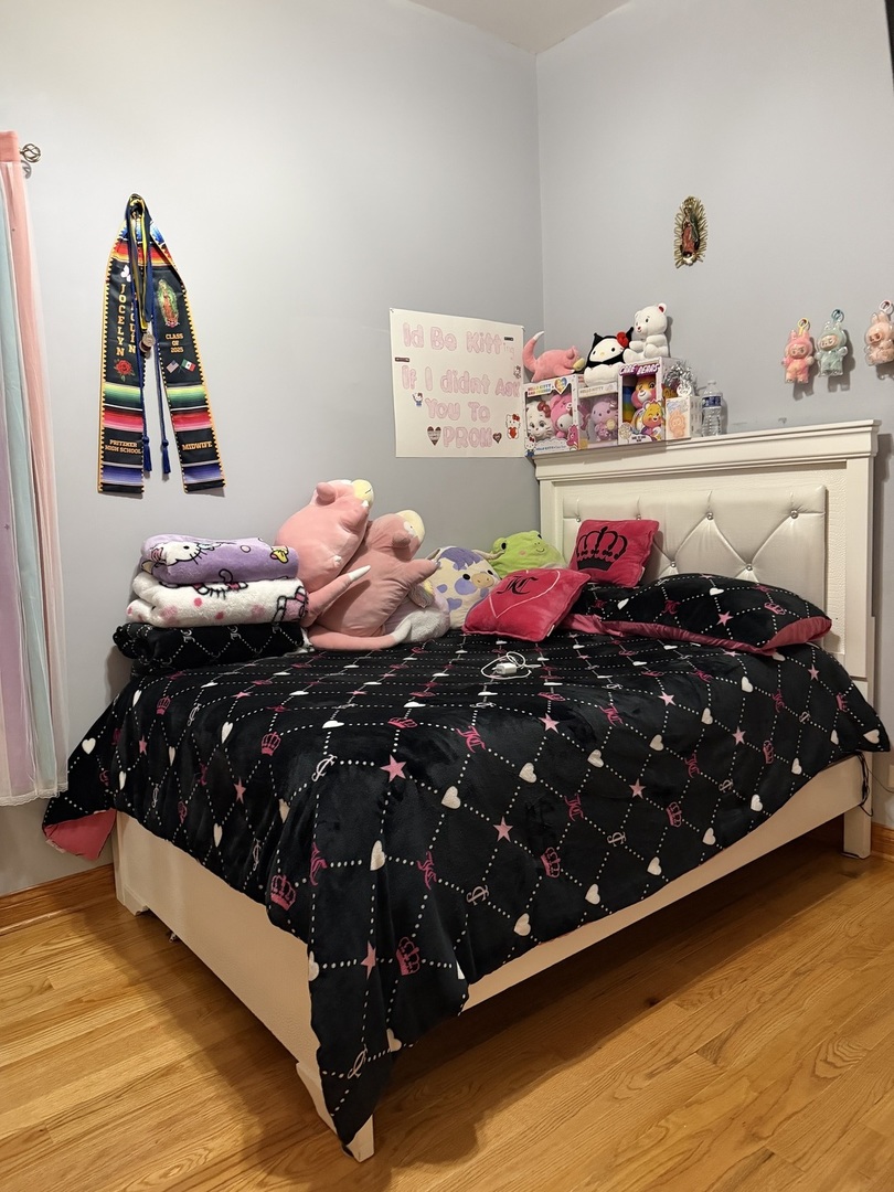 717 North Springfield Avenue Chicago, IL 60624 - Photo 5 of 16