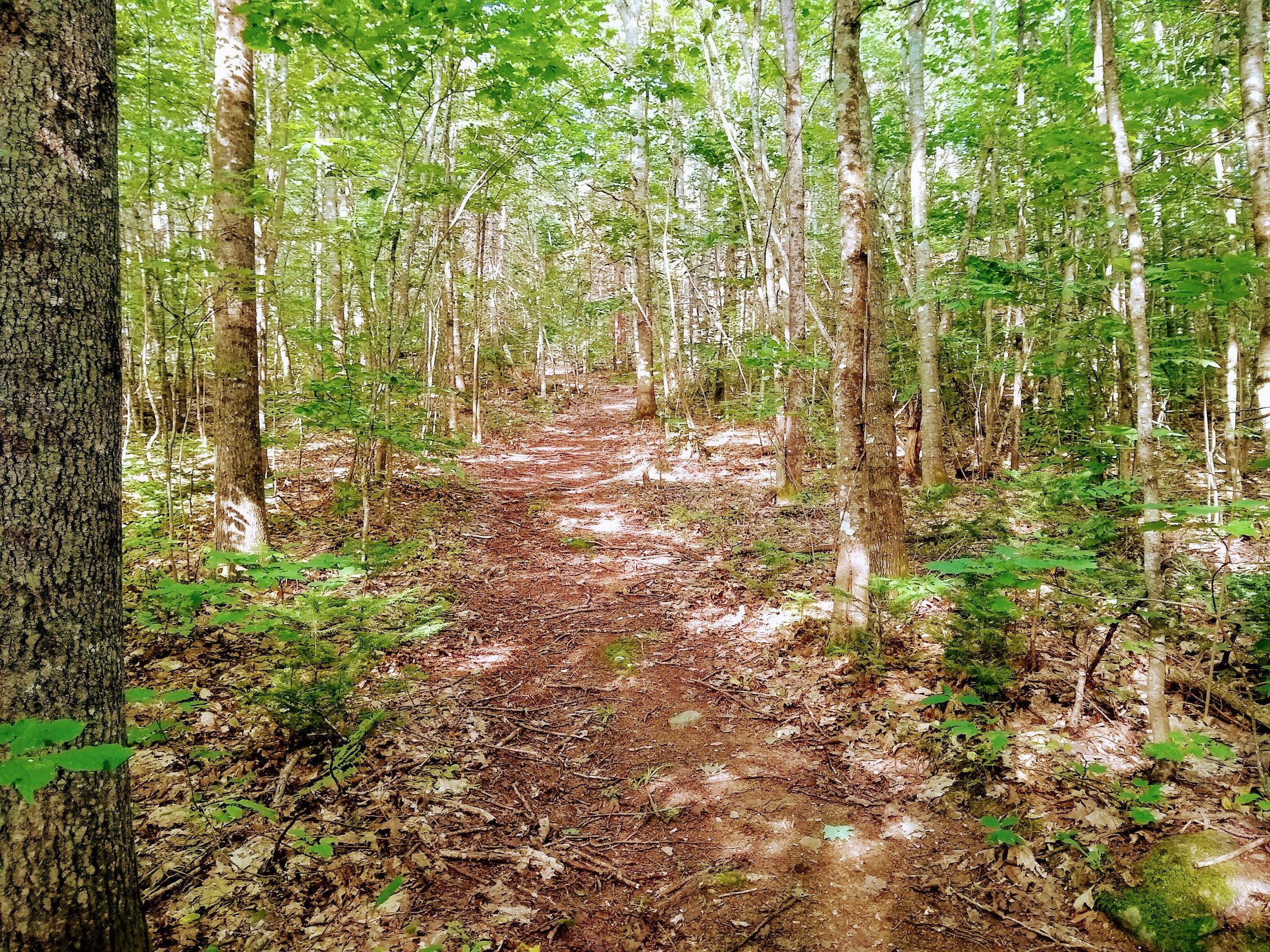 131 Batchelder Road Garland, ME 04939 - Photo 38 of 39 IMG_20190827_084437939