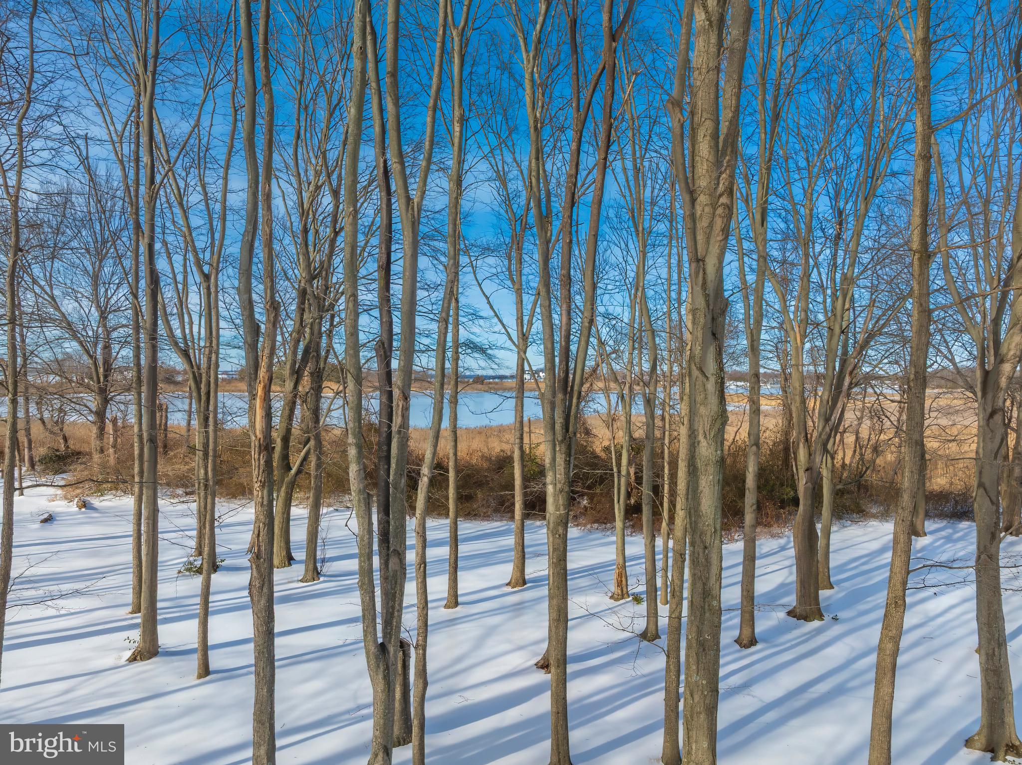 346 Oregon Road Stevensville, MD 21666 - Photo 5 of 10 a view of outdoor space with balcony