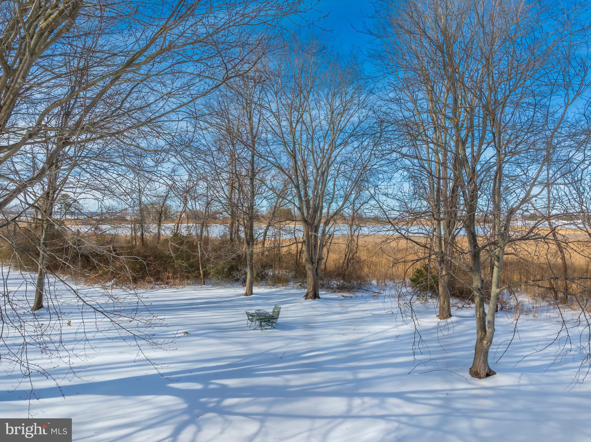 346 Oregon Road Stevensville, MD 21666 - Photo 6 of 10 a view of empty space with trees