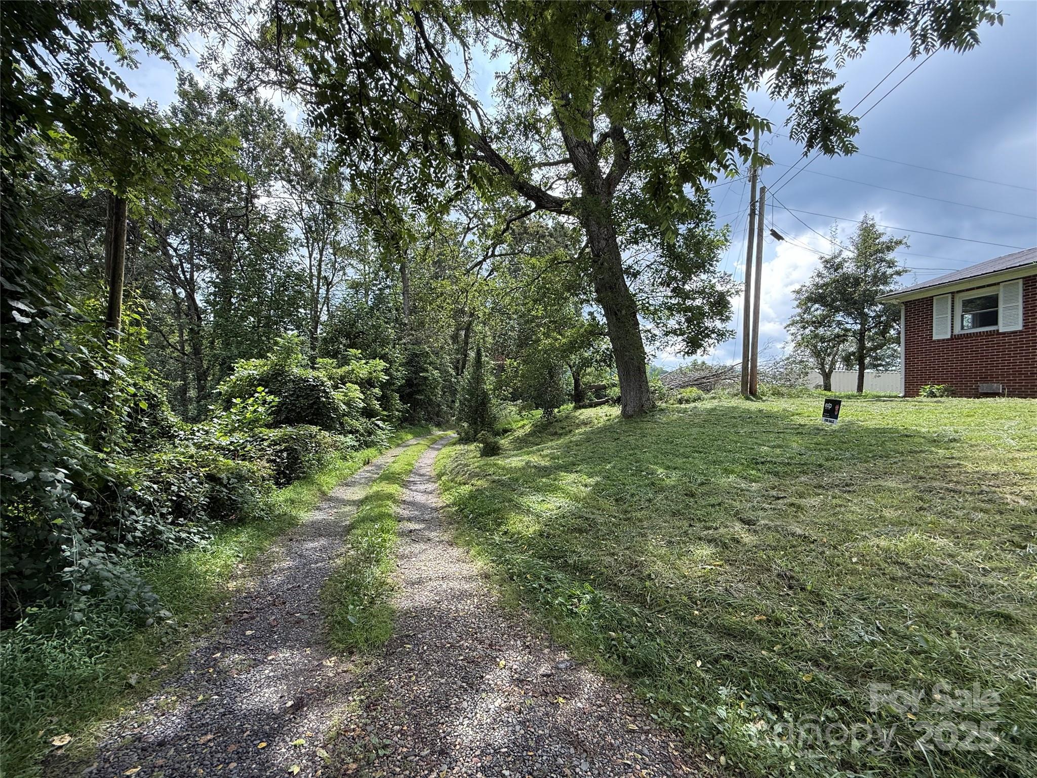 183 Maple Road Spruce Pine, NC 28777 - Photo 4 of 30 a view of a tree in a yard