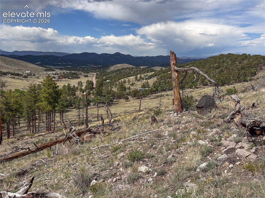 Gentle slope at bottom of lot, a few tall trees included on property.