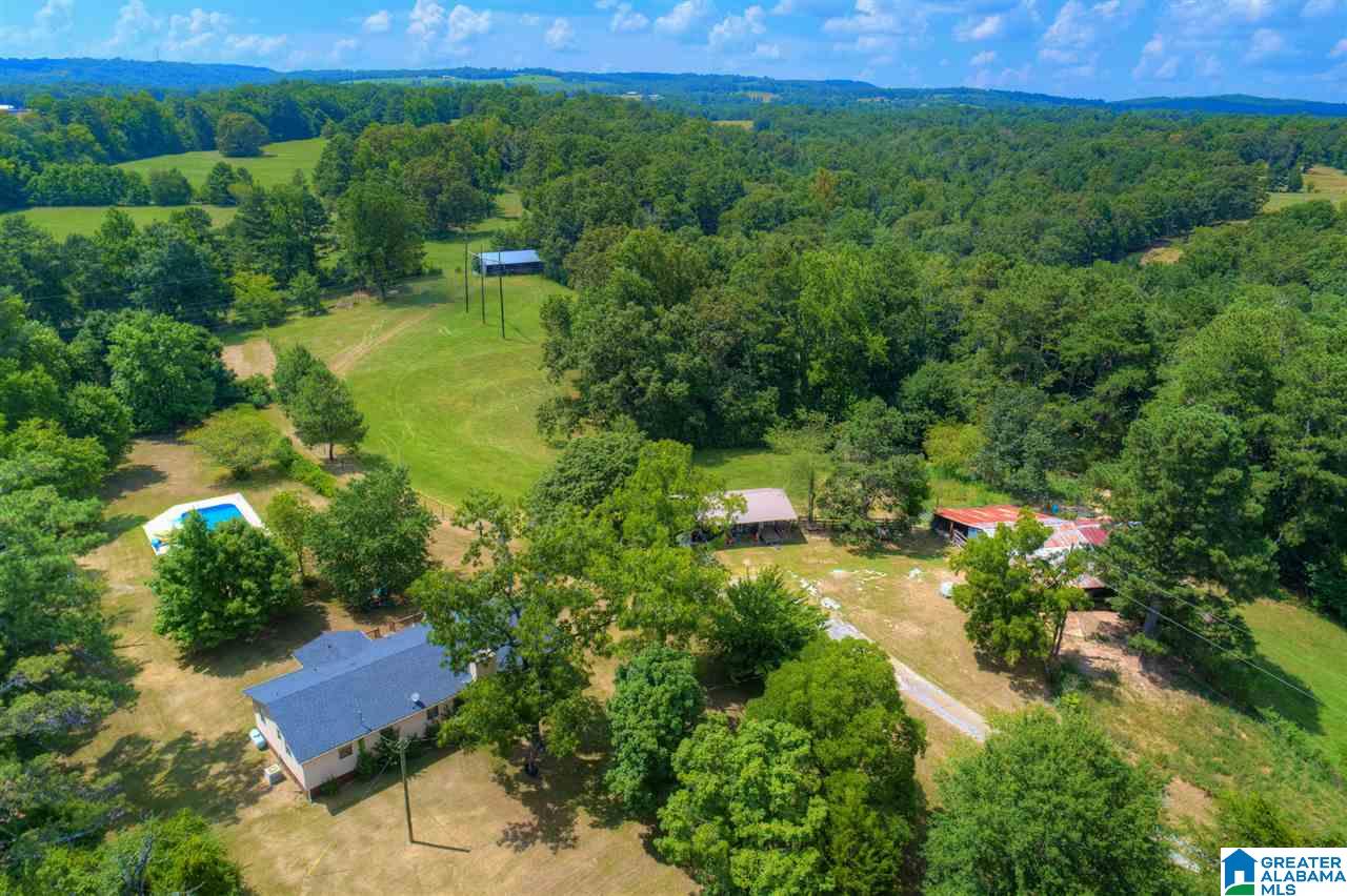 1181 Joy Road Hayden, AL 35079 - Photo 39 of 44