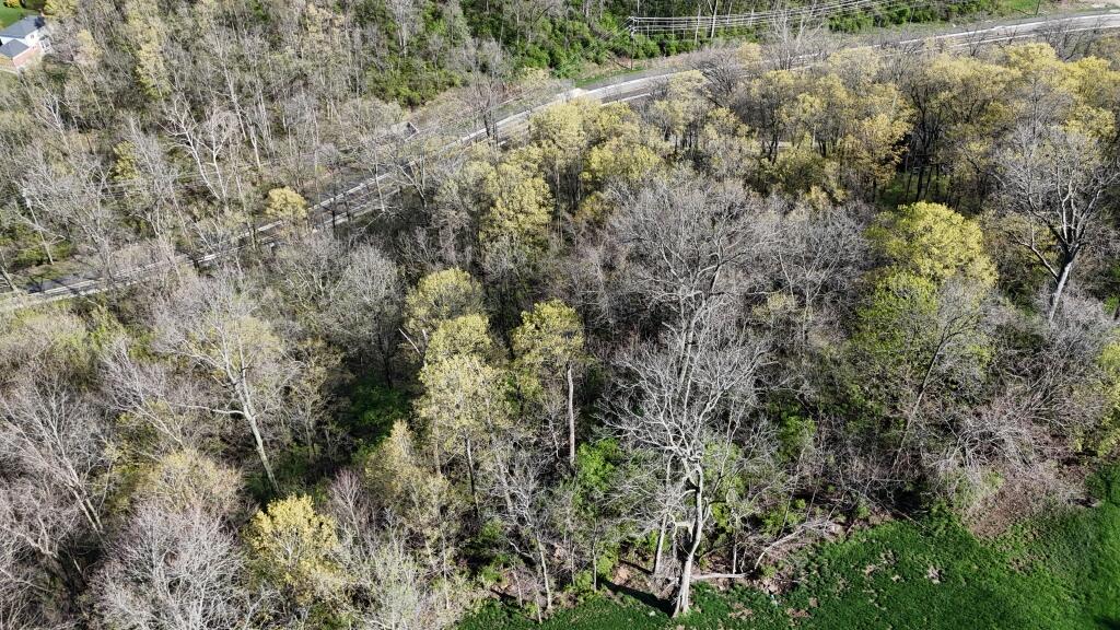 2139 Bromley-Crescent Springs Road Fort Mitchell, KY 41017 - Photo 9 of 11