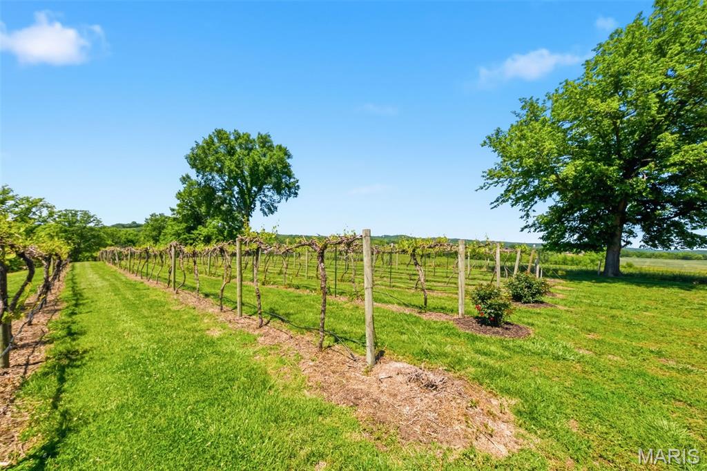 15088 Boone Monument Road Marthasville, MO 63357 - Photo 61 of 81