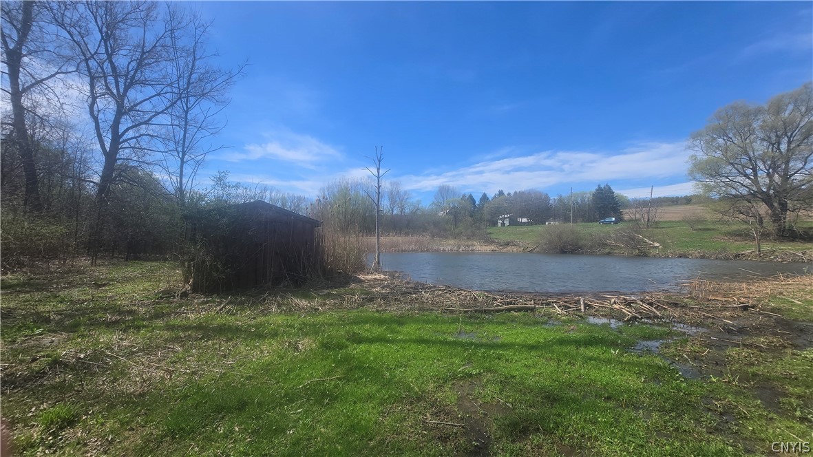 3599 Watervale Road Pompey, NY 13104 - Photo 33 of 48
