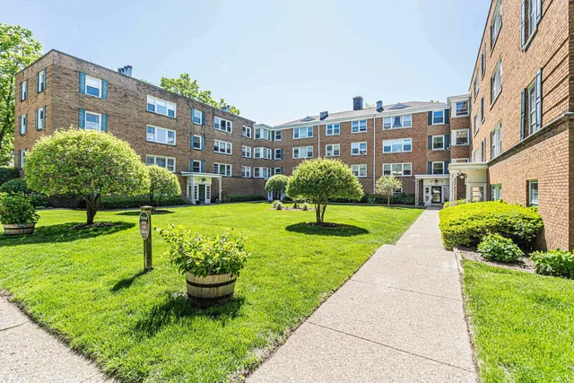 a view of a garden with a slide
