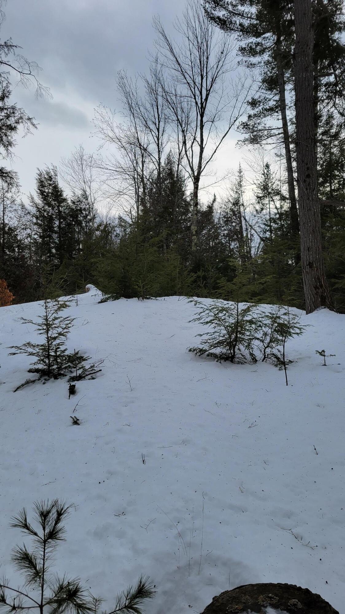 0 Range Road East Dover-Foxcroft, ME 04426 - Photo 21 of 23 Map 12 Lot 24 (21)