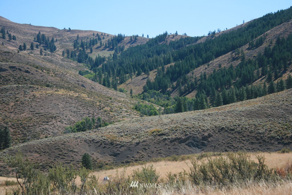 52 Davis Lake Ranch Road Winthrop, WA 98862 - Photo 8 of 25 Gallery Image 8
