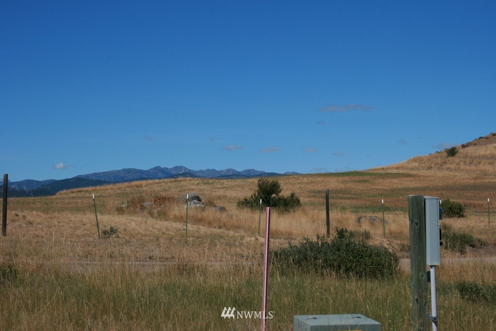 52 Davis Lake Ranch Road Winthrop, WA 98862 - Photo 10 of 25 Gallery Image 10