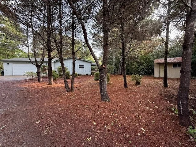 a view of a tree in the middle of a yard