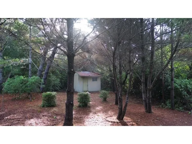 a black and white photo of a park