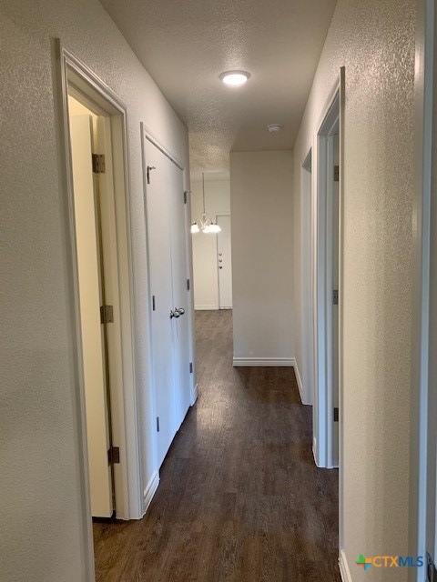279 Olaf Drive Temple, TX 76504 - Photo 6 of 14 a view of a hallway with wooden floor