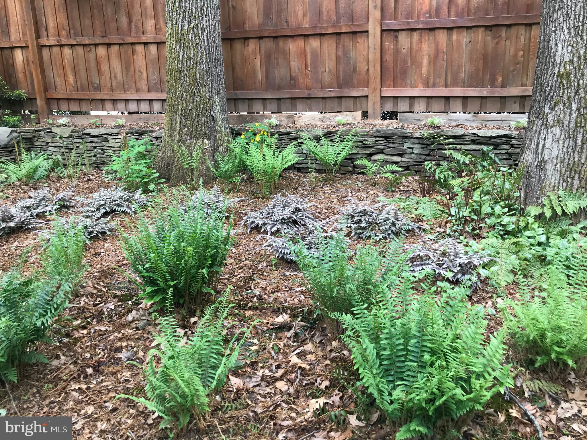 2529 Trophy Lane Reston, VA 20191 - Photo 53 of 69 Covered in snow now - to be enjoyed very soon!