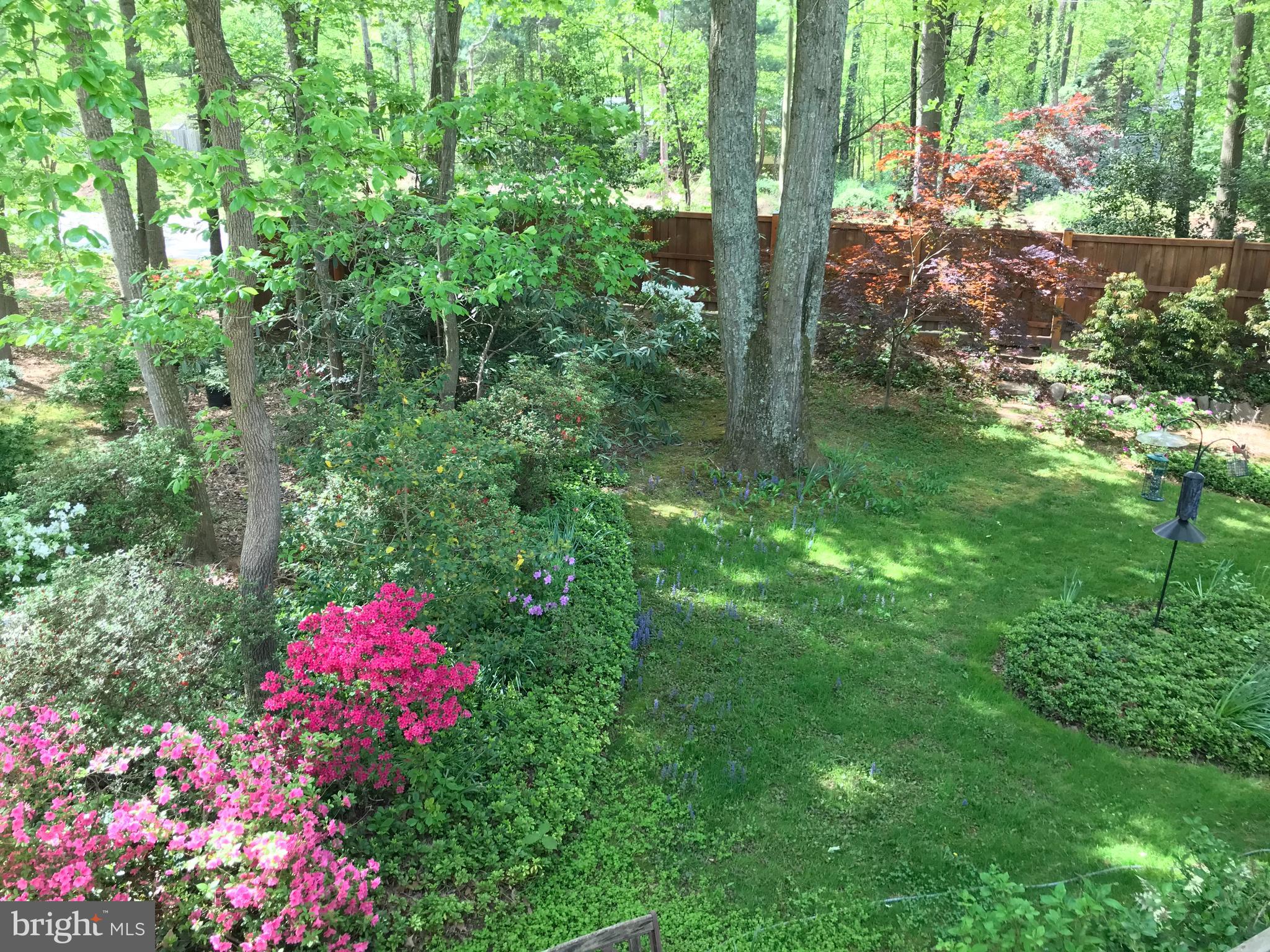 2529 Trophy Lane Reston, VA 20191 - Photo 54 of 69 The natural woodland landscape is delightful.